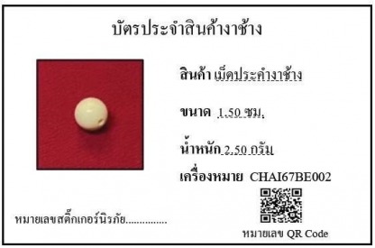 เม็ดประคำงาช้าง002 - รับซื้องาช้าง ทุกชนิด