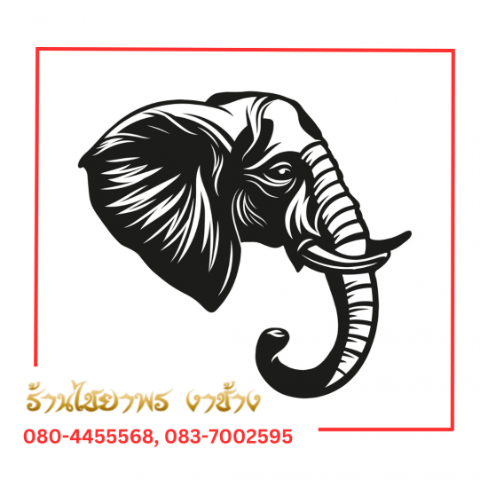 ร้านไชยาพร รับซื้องาช้างทุกชนิด - รับซื้องาช้าง