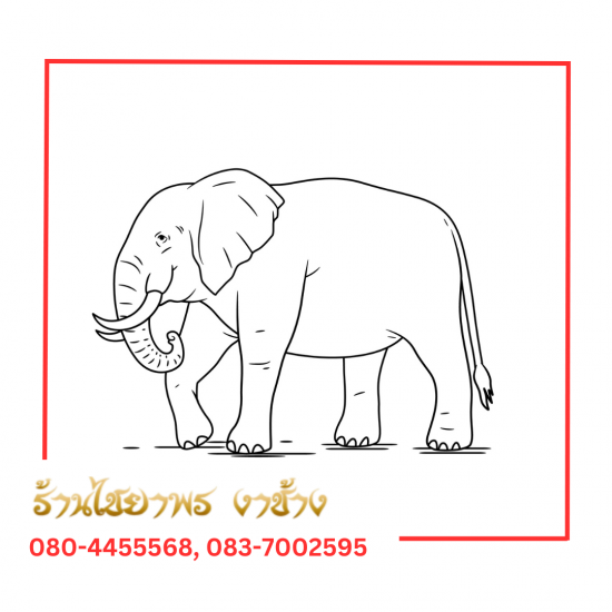 ร้านไชยาพร รับซื้องาช้างทุกชนิด - ร้านขายงาช้าง