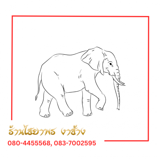 ร้านไชยาพร รับซื้องาช้างทุกชนิด - สร้อย แหวน ต่างหู งาช้างแท้