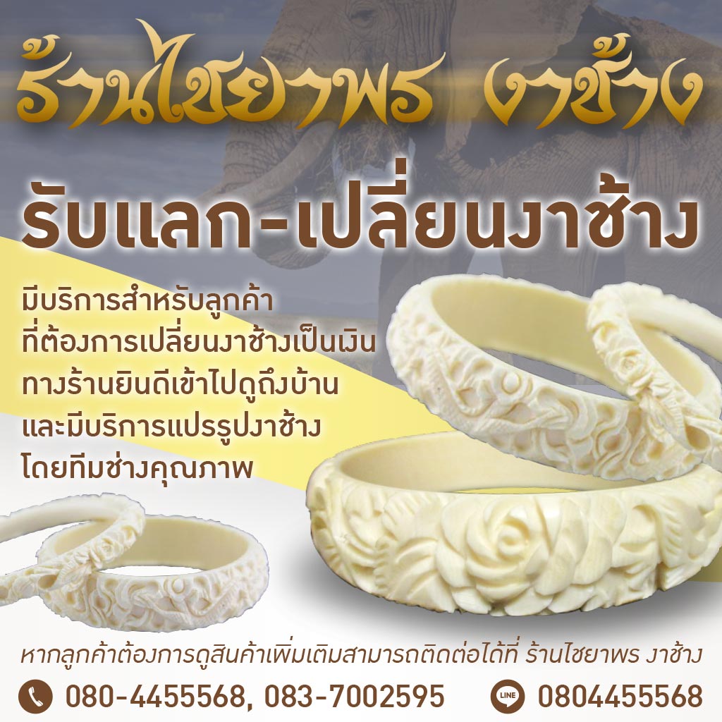 รับซื้องาช้าง ทุกชนิด